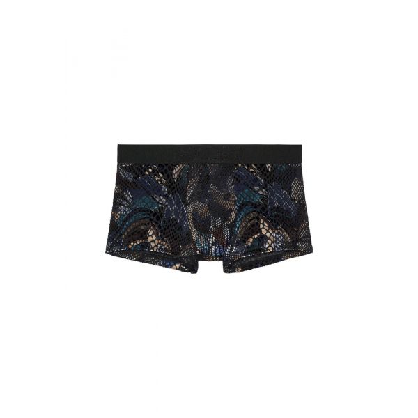 Trunk, Cobra, Hom 403093-J004