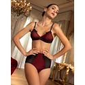 Culotte Gainante, Bellissime Inconnue - Ombre Rouge, Lise Charmel BCJ0649-OR