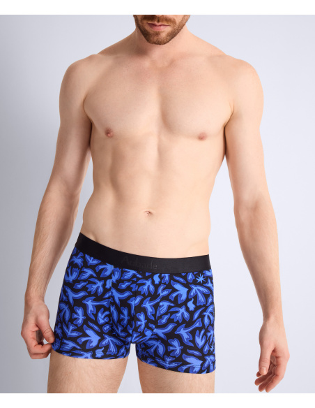 Pack Duo Boxer, Aubade Men XB58T-BIRD