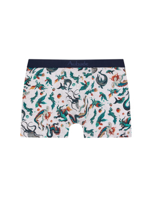 Men's Boxer Shorts Mosaic Gots, Aubade Men XB78T-MOSI 2