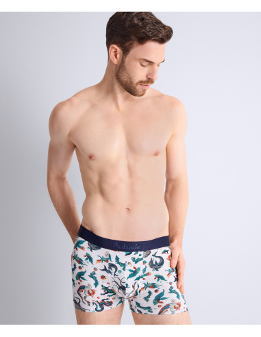 Men's Boxer Shorts Mosaic Gots, Aubade Men XB78T-MOSI