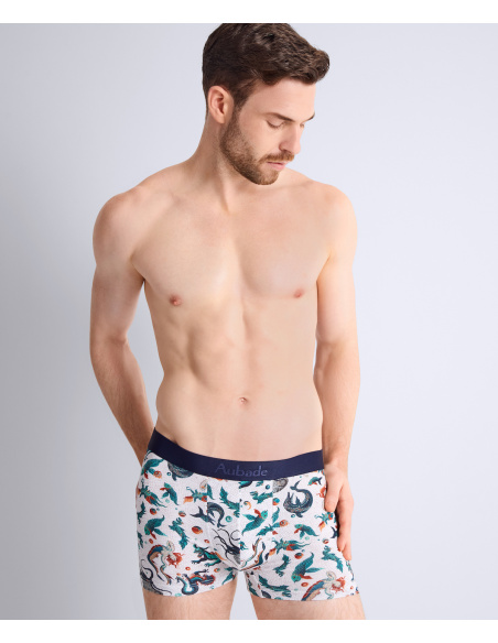 Men's Boxer Shorts Mosaic Gots, Aubade Men XB78T-MOSI