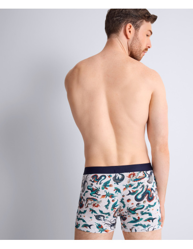 Men's Boxer Shorts Mosaic Gots, Aubade Men XB78T-MOSI