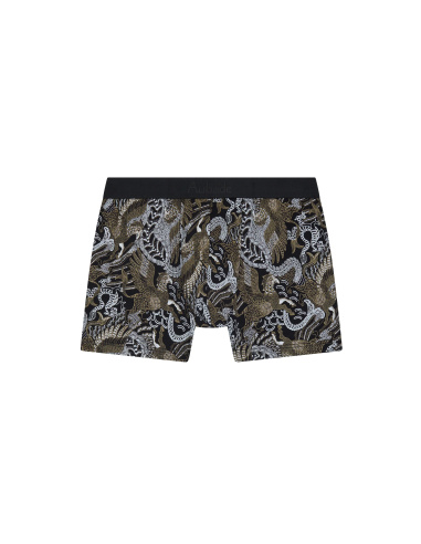 Boxer Hippogriffe, Aubade Men XB78T-HIPO