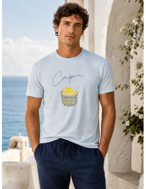 Tee-Shirt, Arkos, David DM23-B07-B