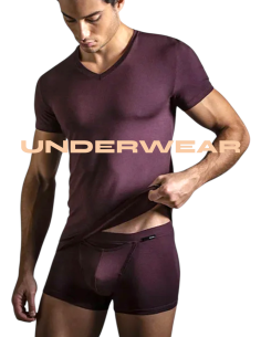 Hom Sous Vêtements Underwear